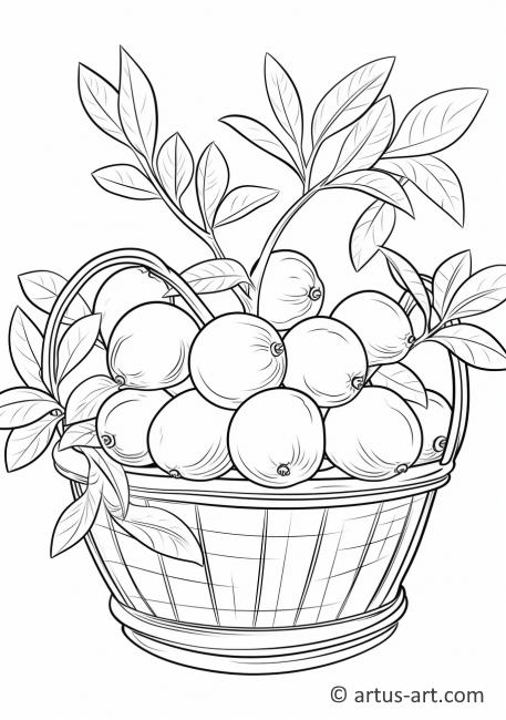 Kumquat in a Basket Coloring Page